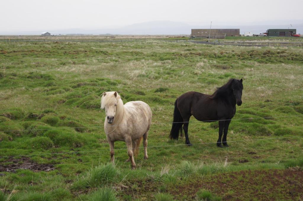 Guesthouse Nordheimar Selfoss Luaran gambar